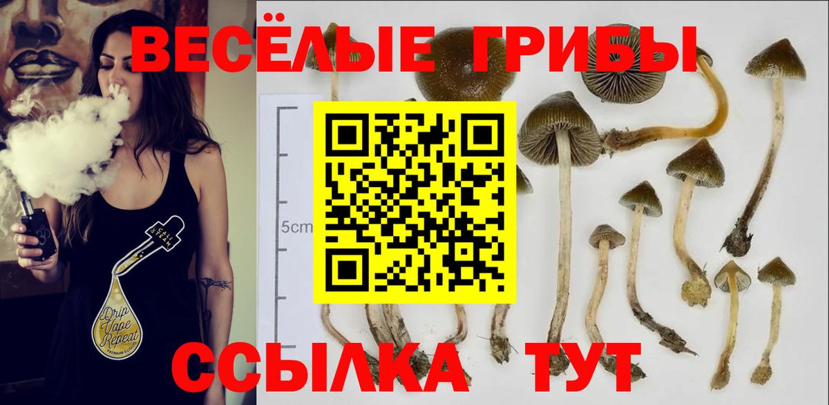 Псилоцибиновые грибы мицелий Железногорск