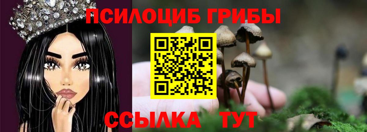 Железногорск  Псилоцибиновые грибы Psilocybine cubensis  что такое наркотик  Вход с VPN 